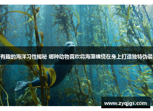 有趣的海洋习性揭秘 哪种动物喜欢将海藻缠绕在身上打造独特伪装